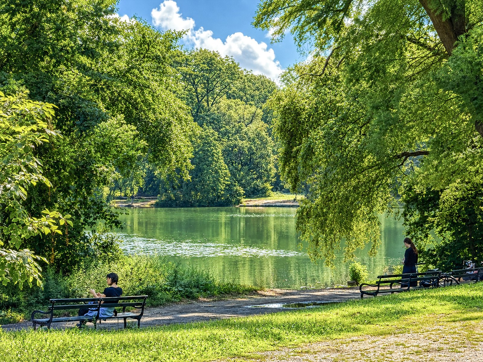Lakeside view and benches in Prospect Park