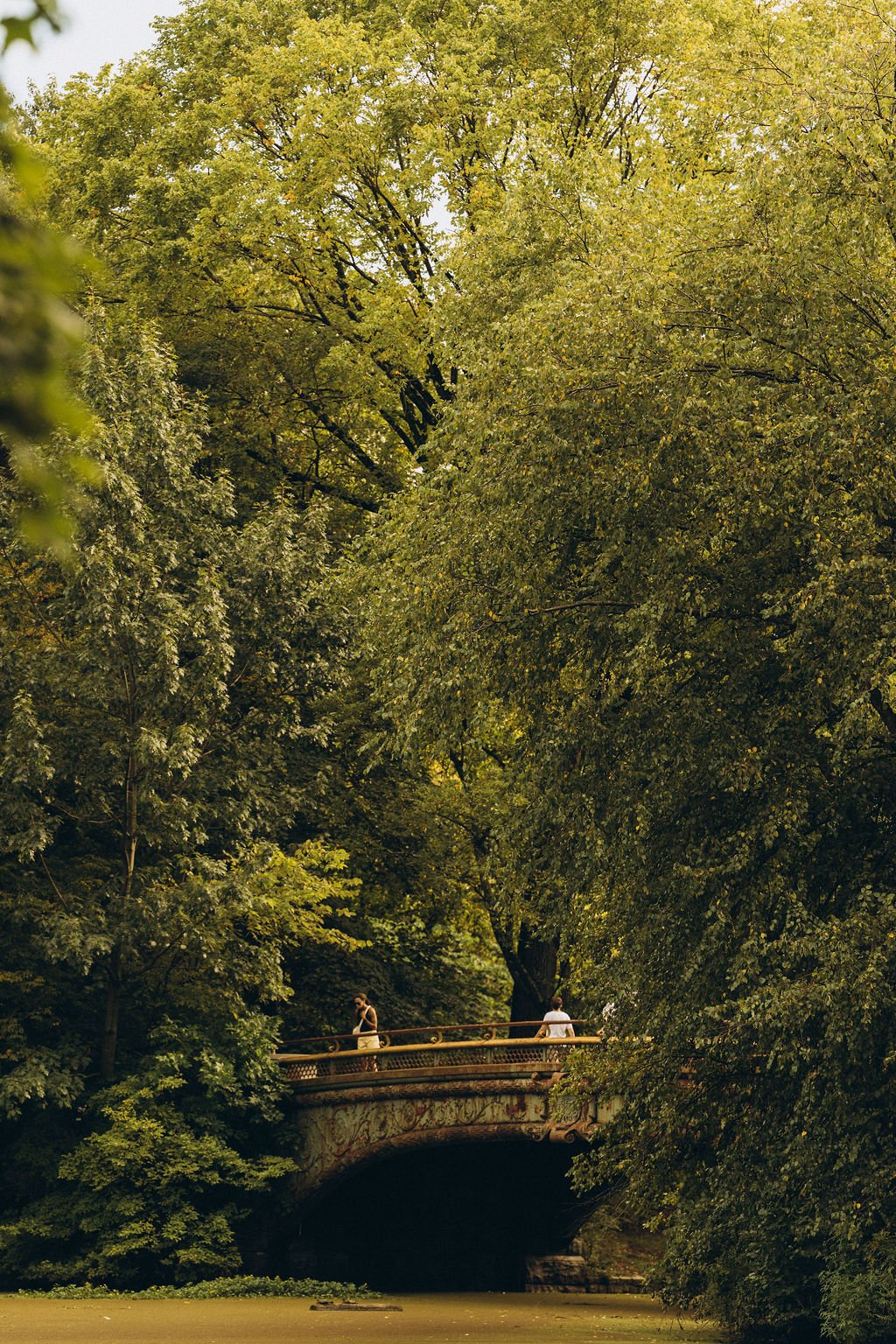 Bridge framed by trees in Prospect Park